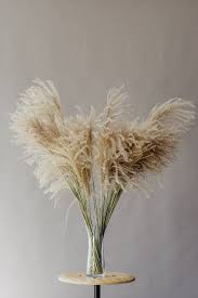 Pampas Grass Dried Reed Wildflowers Deco Flowers Boho Vintage Christmas Decoration Floral Decor Inspiration Vintage Christmas Decorations Pampas Grass
