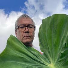 HFUU North Shore Oahu (@hfuunorthshoreoahu) · Instagram 照片和视频