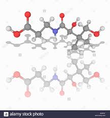 All genomes sequenced to date encode enzymes that use coenzyme a as a substrate, and around 4% of cellular enzymes use it. Vitamin B5 Molekulmodell Von Pantothensaure C9 H17 N O5 Auch Bekannt Als Vitamin B5 Dieses Vitamin