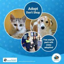 Abu Dhabi Animal Shelter Animal Shelter Dog List Animals