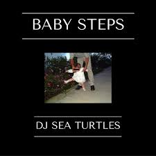 Kc And The Meme Band Dj Sea Turtles