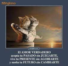 Frase De Reflexion Sobre El Verdadero Amor 1436082463 Jpg 606 589 Animals