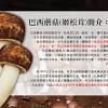 学名：agaricus blazei murill;日本名：ヒメマツタケ ( 姬松茸 )；别名：カワリハラタケ (代蘑菇)。. 1