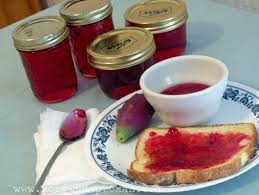 Reviewed by rachel macpherson, ba, cpt. Prickly Pear Jelly Tasty Kitchen A Happy Recipe Community