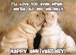 From wedding anniversary quotes to funny wedding anniversary wishes, here are our favourite ways to wish your partner or friends a very happy wedding choose from these funny wedding anniversary wishes… 61. Funny Anniversary Quotes For Boyfriend
