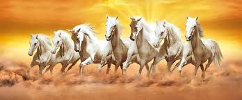 Rttilink,seven_horses_wallpaper_7,personalization,seven,horses,wallpaper you can also download com.rttilink.seven_horses_wallpaper_7 apk and run it with the popular android emulators. 7 Horses Wallpapers Top Free 7 Horses Backgrounds Wallpaperaccess