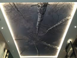 Maybe you would like to learn more about one of these? Comment Reparer Un Plafond Tendu Atmosphere Creations