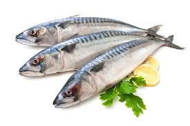 Cirinya tinggi badan lebih besar jika dibandingkan dengan lebar 209 gambar gambar gratis dari kartun ikan. Contoh Gambar Ikan Animasi Cikimm Com