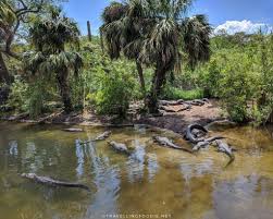 Augustine lighthouse & maritime museum. A Day Trip In St Augustine Florida 8 Things To Do And Eat