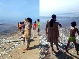 Gratis untuk komersial & pribadi. Pantai Ujung Pandaran Kotawaringin Timur Dipenuhi Ribuan Ikan Bukan Karena Fenomena Alam Indozone Id