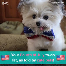 Your Fourth Of July To Do List As Told By Cute Pets Your Fourth Of July To Do List As Told By 2020 Cok Sirin Hayvanlar Sevimli Hayvan Yavrulari Evcil Hayvanlar