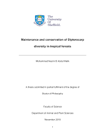 Image result for Monotes dasyanthus