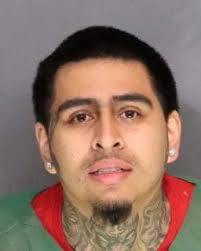 I'm looking for recommendations