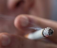 Lung cancer isn't the only risk. A Warning To Pet Owners Who Smoke