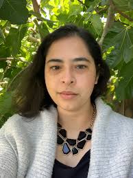 Framing Community Peer Review for Design and Planning Post-Disaster