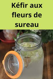 Kefir Aux Fleurs De Sureau Kefir Fleur De Sureau Sureau