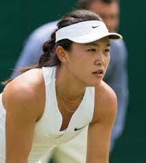 Wang , zheng jie ile çiftler halinde ortak olarak 2014 shenzhen açık'ta wta turu'na ilk kez katıldı. Zhu Lin Tennisspielerin Wikipedia