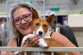 Sydney royal dog show judging timetable released