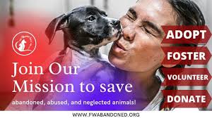 Fort Worth Abandoned Animal Alliance