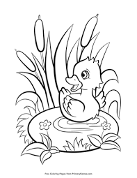 But they should start labeling the colors between the ages of 2 and 3. Baby Duckling Coloring Page Free Printable Pdf From Primarygames