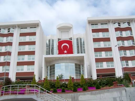 Işık Üniversitesi - Vikipedi