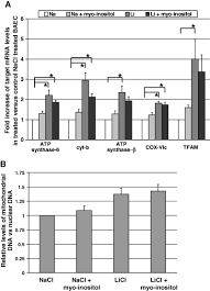 They are often used to discontinue or shift to another medication if the patient cannot. Lithium Increases Pgc 1a Expression And Mitochondrial Biogenesis In Primary Bovine Aortic Endothelial Cells Struewing 2007 The Febs Journal Wiley Online Library