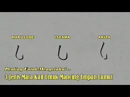 Mata kail udang lajen november 20, 2020 · makin ramai yg menggunakan mata lajend(handmade).ramai yg dah repeat oder.harga 1pek rm10,isi 15pcs.3pek keatas free pos.berminat tekan link dibawah> Download Kail Mp4 Mp3 3gp Naijagreenmovies Fzmovies Netnaija