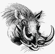 Berburu babi hutanmelacak jejak babi hutanpengendalian hama babi hutan‼ nyanggong babi hutan.#nyanggongbabihutan#babihutan#berburubabihutan. Babi Hutan Logo Free Transparent Png Download Pngkey