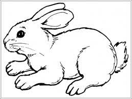 Ausmalbilder hase vorlage hasen hase ostern ausmalbild hase. Zwergkaninchen Malvorlagen Coloring And Malvorlagan