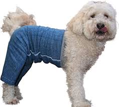 Check spelling or type a new query. Amazon Com Mozzie Pants Original Dog Pants E Collar Alternative Dog Diaper Dog Pajamas Large Dog Blue Pet Supplies