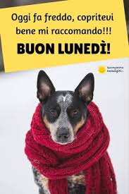 Immagini Buon Lunedi Freddo Buon Lunedi Lunedi Buongiorno Immagini