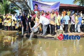 Cara tradisional para pemancing ikan di desa siabu kecamatan salo kabupaten kampar riau. 20 Kes Menuba Ikan Setahun
