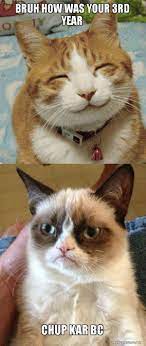 BRUH HOW WAS YOUR 3rd YEAR CHUP KAR BC - Grumpy Cat vs Happy Cat | Make a  Meme