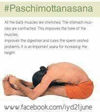 Paschimottanasana Yoga Asanas Names Relaxing Yoga Yoga Routine For Beginners