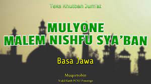 Fewep Wzp67kzm
