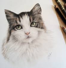 To begin with, pencil drawings of animals, the first on the list has to be the lion with his lioness. Cute Pencil Drawing Ideas Animal Animals Pencil Drawing