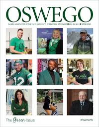 Image result for Nile Green 1988 Audi