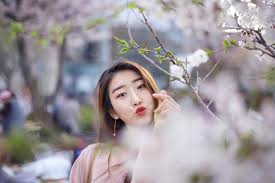 What is the best cherry blossom tree? Best Korea Cherry Blossom Snap Photoshoot 1 In Seoul