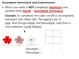 Essaysanddissertationshelp.com is a legal online writing service established in the year 2000 by a group of master and ph.d. 4 Skip Hw 68 Practice With Punnett Squares Worksheet Warm Up Ppt Download
