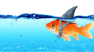 Fake it til i make it fake it til i make it. Fake It Till You Make It Should You Fake It Till You Make It