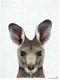 Aussie Animal Print Rory The Wallaby Animals Australian Native Animals Australia Animals