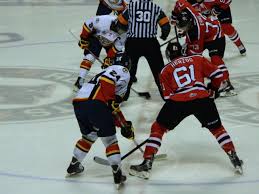 Profile page for ev zug player fabrice herzog. Leafs Prospect Update December 1 Maple Leafs Hotstove