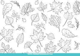 Download and print these printable fall leaves coloring pages for free. 4 Free Printable Fall Leaves Coloring Pages Freebie Finding Mom