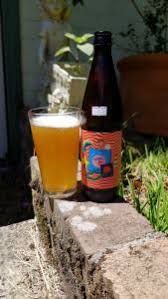We did not find results for: Prairie Artisan Ale Funky Cold Citra Dry Hopped Sour Ale Brewsbuzz