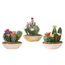 Pictures of arizona cactus flowers the aloe vera in bloom shows off unusual orange flowers. Set Of 3 Faux Fake Flowering Cactus Plants In Pots Walmart Com Walmart Com