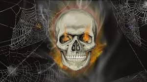 Download 1920x1080 aphelios anime 1080p laptop full hd wallpaper games wallpapers images photos and background for desktop windows 10 macos apple iphone and android mobile in hd and 4k. Skull Wallpapers Hp Data Src Halloween Skeleton Wallpaper Full Hd Wallpapers 1920x1080 Skull 1920x1080 Wallpaper Teahub Io