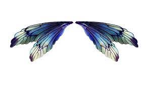 Fairies Wings By Lilifilane On Deviantart Fairy Wings Drawing Wings Drawing Fairy Wings Costume