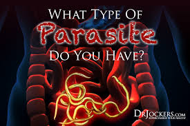 what type of parasites do you have drjockers com