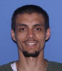 Arkansas man who escaped from police car nabbed in trash can, authorities  say