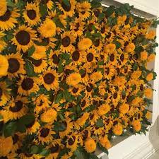 Sunflower Photo Backdrop See This Instagram Photo By Eventsandrewells 127 Likes Sunflower Party Sunflower Birthday Parties Sunflower Party Themes
